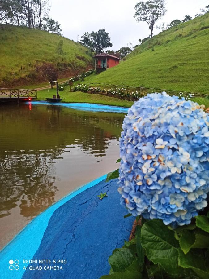 Espaço Da Onça * Lumiar